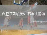 合肥狂風(fēng)峻茂VS石家莊翔藍(lán)