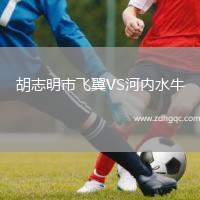 胡志明市飛翼VS河內(nèi)水牛