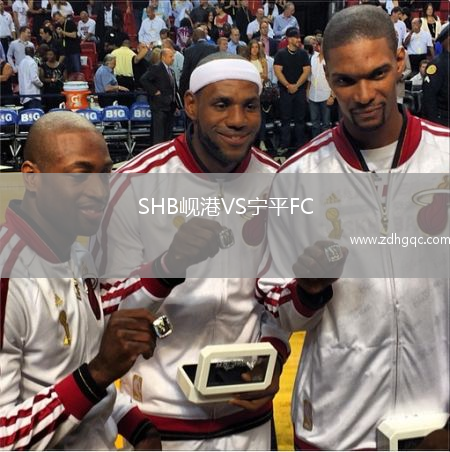 SHB峴港VS寧平FC
