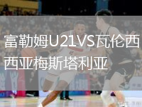 富勒姆U21VS瓦倫西亞梅斯塔利亞