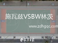 施瓦茲VSBW林茨