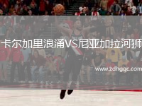 卡爾加里浪涌VS尼亞加拉河獅