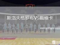 斯洛夫格羅布VS戴維卡