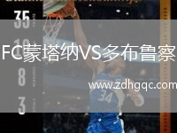 FC蒙塔納VS多布魯察