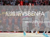 尼維斯VSBENFA
