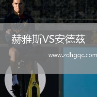 赫雅斯VS安德茲