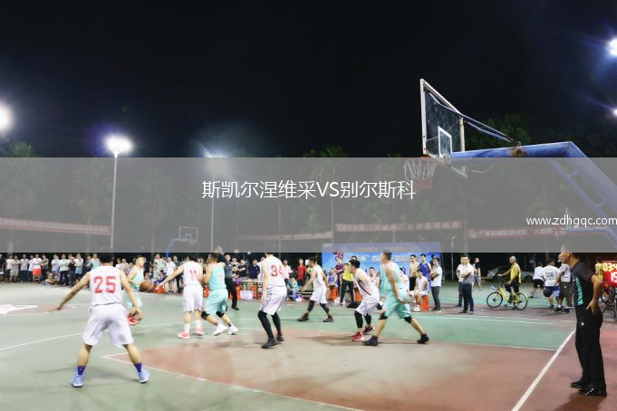 斯凱爾涅維采VS別爾斯科