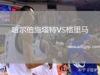 哈爾伯施塔特VS格里馬