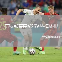 伍特默豪森VSSV赫梅林根
