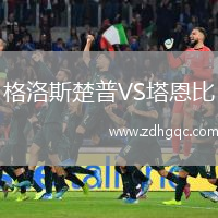 格洛斯楚普VS塔恩比
