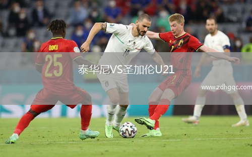 泰華尼VS圣加倫U21