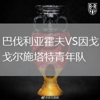 巴伐利亞霍夫VS因戈?duì)柺┧厍嗄觋?duì)