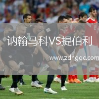 訥翰馬科VS提伯利