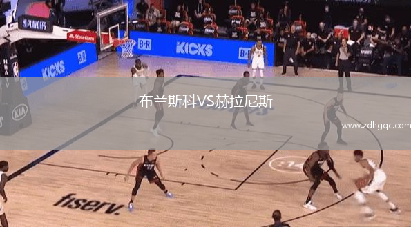 布蘭斯科VS赫拉尼斯