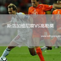 斯洛加維尼察VS高勒莫