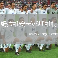姆拉維安卡VS斯維特