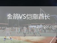 金箭VS愷撒酋長
