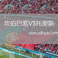 坎伯巴索VS托里斯