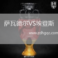 薩瓦德爾VS埃登斯