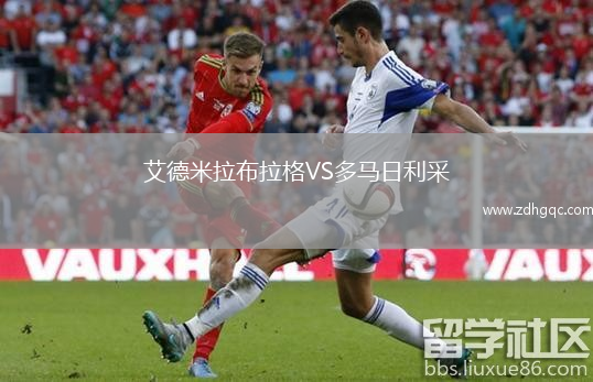 艾德米拉布拉格VS多馬日利采