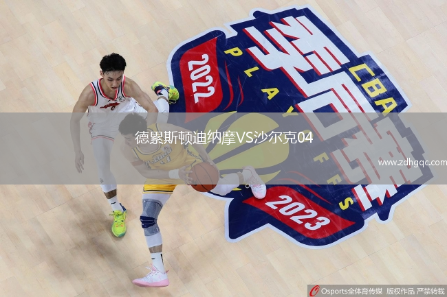 德累斯頓迪納摩VS沙爾克04