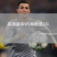 桑德豪森VS弗賴堡B隊(duì)