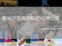 斯哈爾貝克伊瓦爾VS蒂比茲