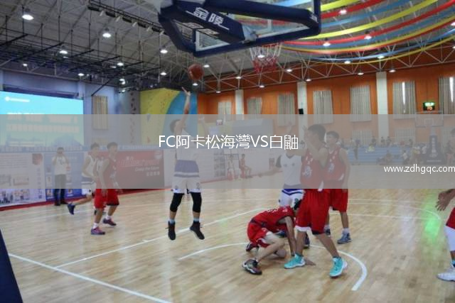 FC阿卡松海灣VS白鼬