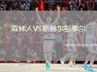森林人VS斯赫爾彭季爾