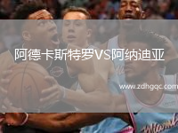 阿德卡斯特羅VS阿納迪亞