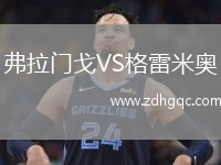 弗拉門戈VS格雷米奧