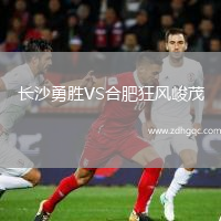 長沙勇勝VS合肥狂風(fēng)峻茂