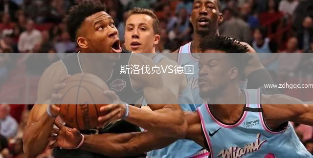 斯洛伐克VS德國(guó)
